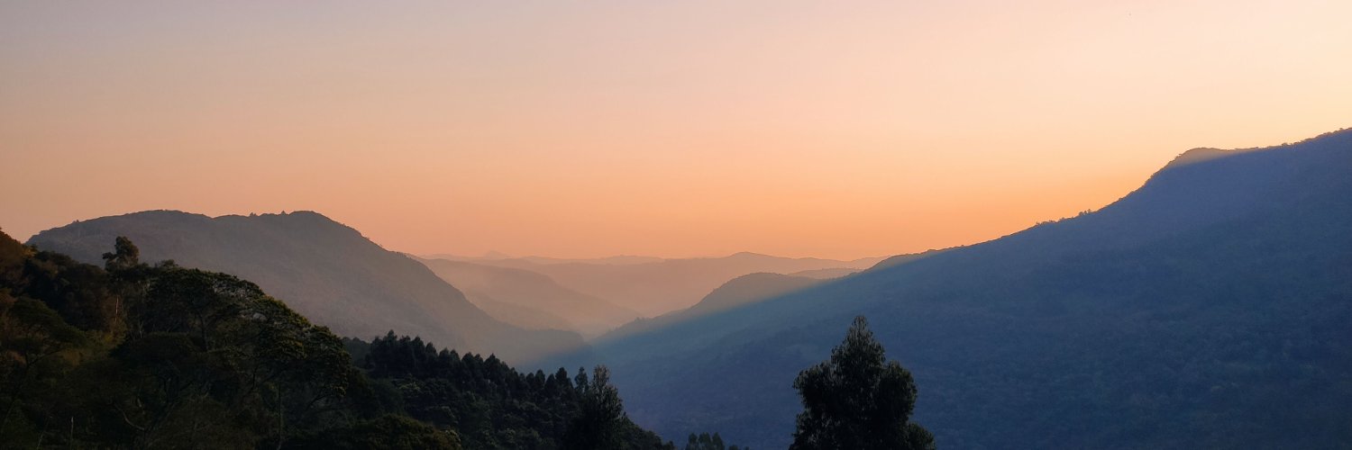douglasdecarv's profile banner image