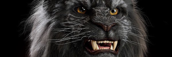 Black Cabbath banner