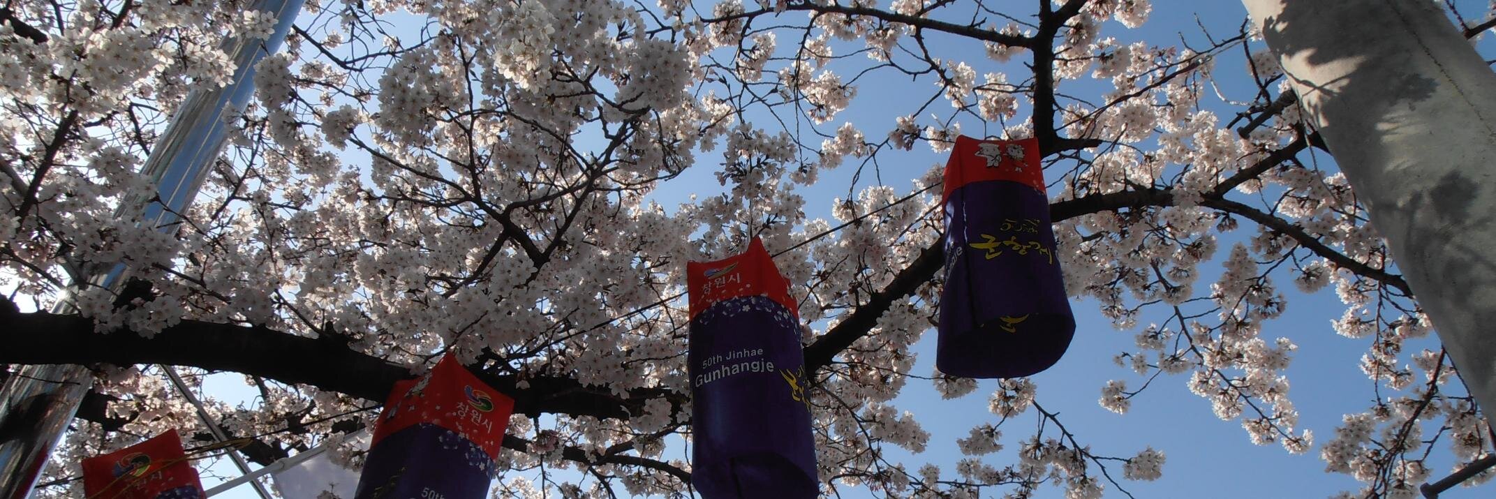 bigrobbiet's profile banner image