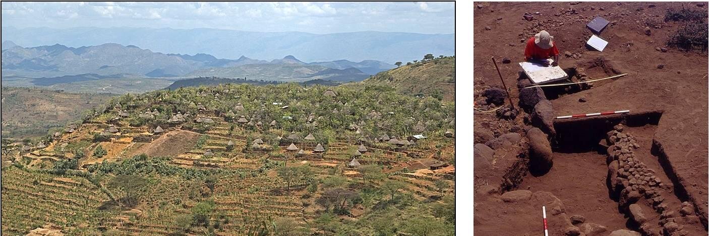 AAREA Project banner