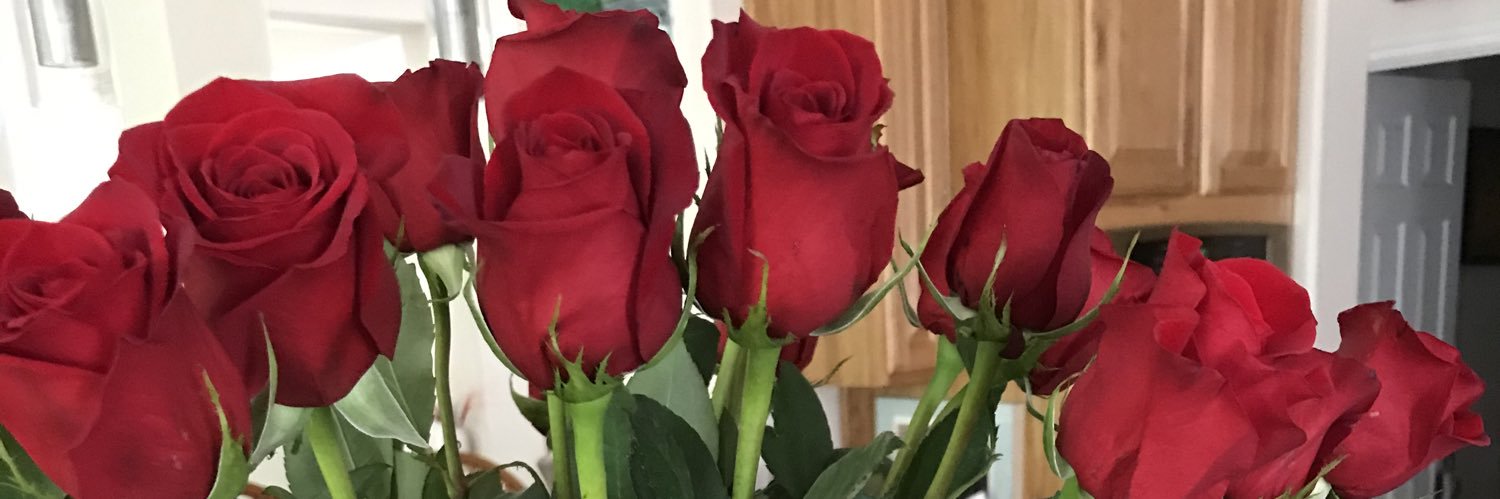 Verena Briley Hudson banner