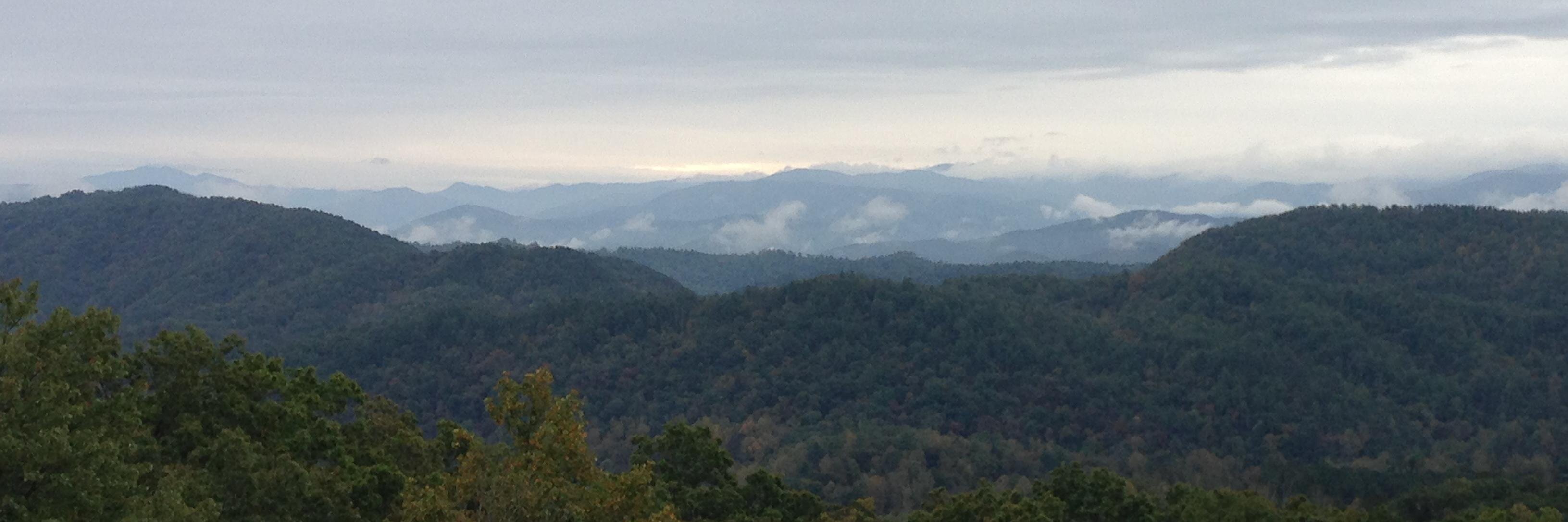 wvltkyle's profile banner image