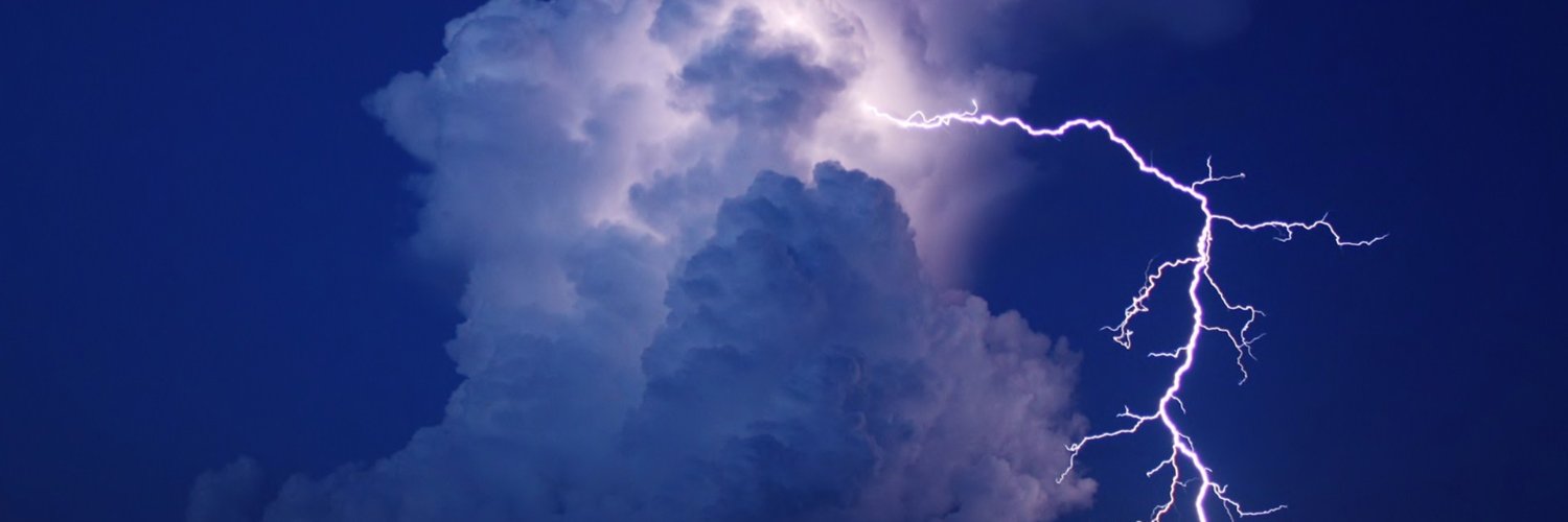 T.*Yᗩᗰᗩ banner