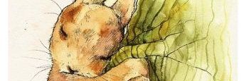 katzilla_dr's profile banner image
