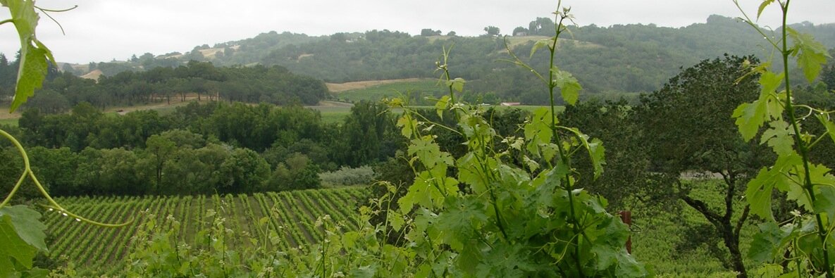 Carpenter Wine banner