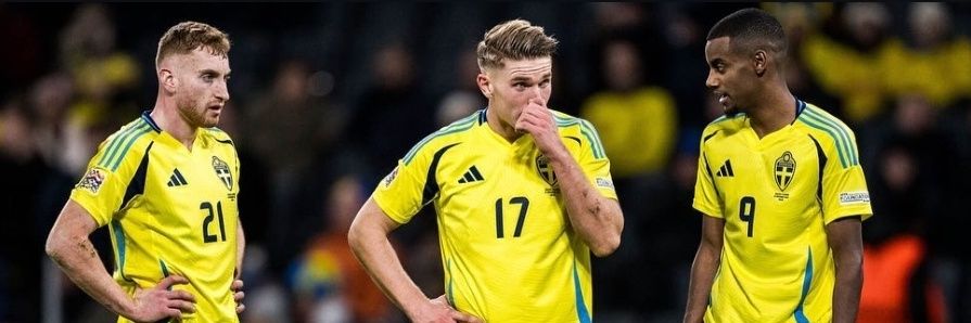 v 🇸🇪 banner
