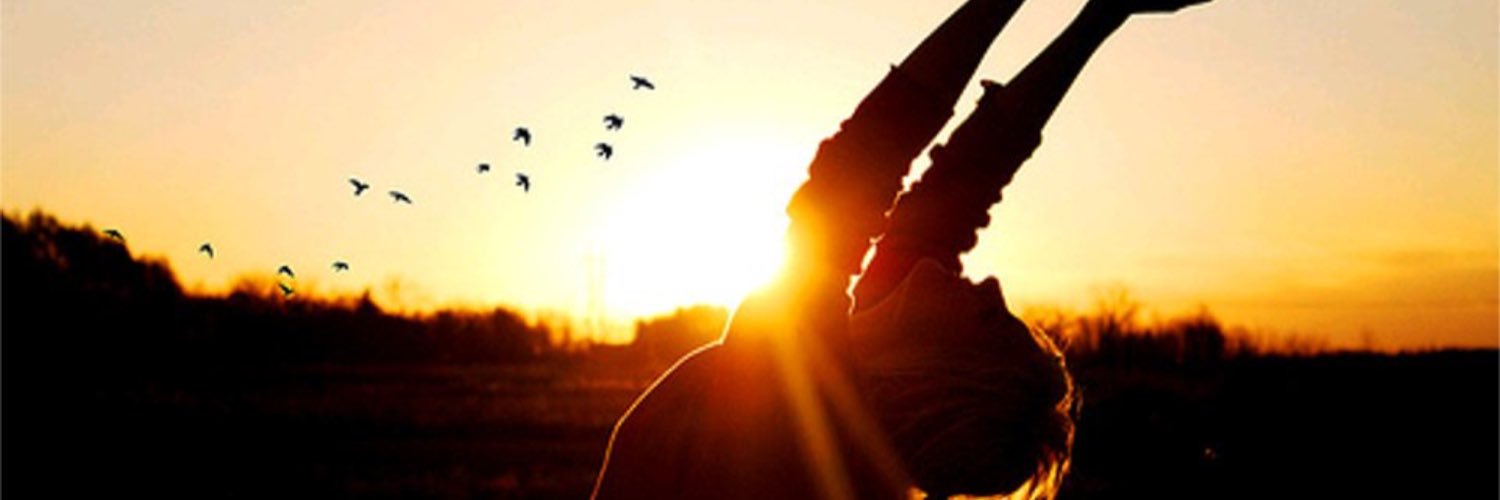 danwxie's profile banner image