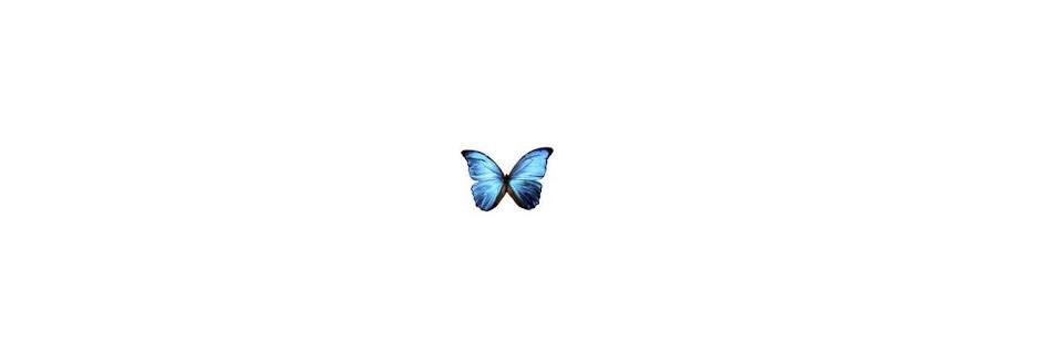 ninne_ss's profile banner image