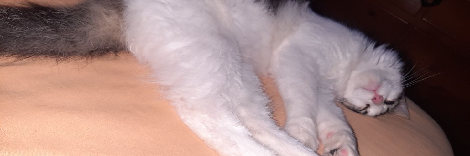 aleaq_'s profile banner image