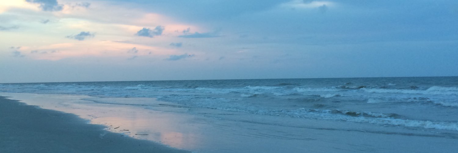CaraKCrowley's profile banner image