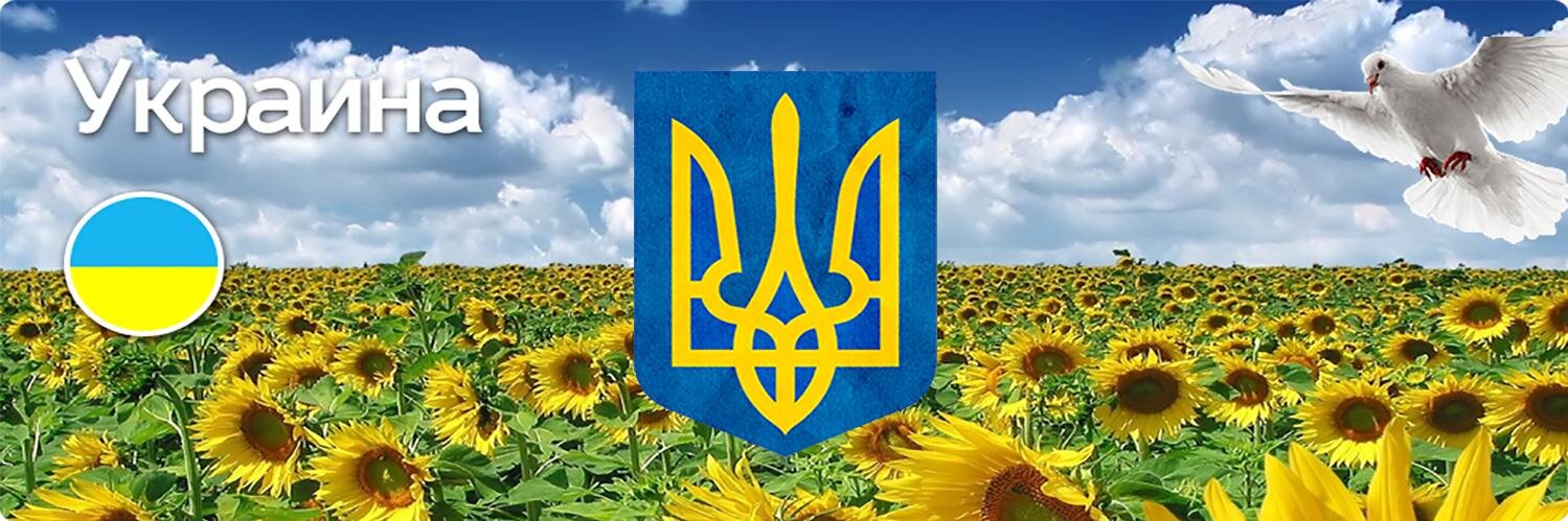 МАРИУПОЛЬ ЗАЩИТИМ! banner