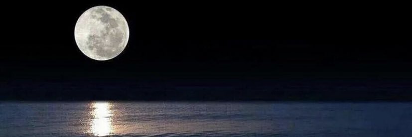 toook3999's profile banner image