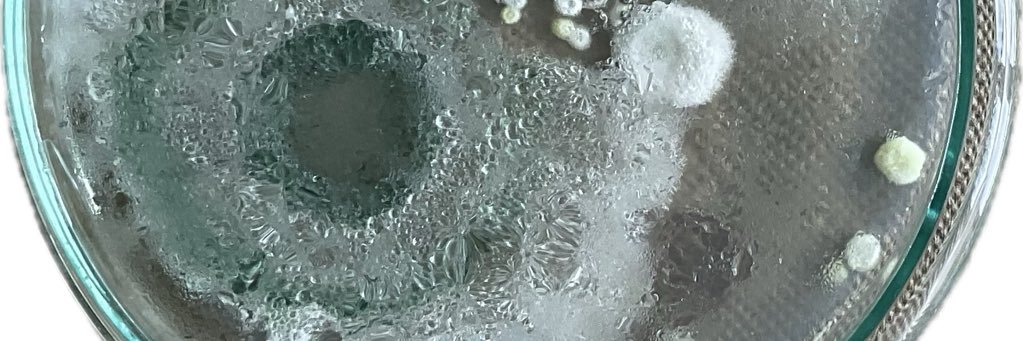 Palp311's profile banner image