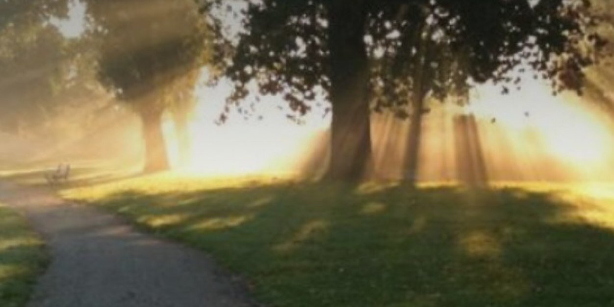 chrisyogi banner