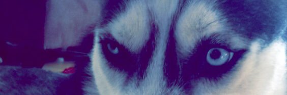 Tyler Joseph banner