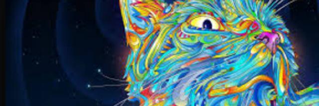 raychelliee's profile banner image