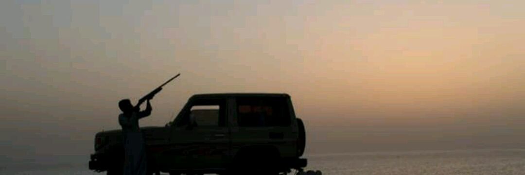 daim__alaz's profile banner image