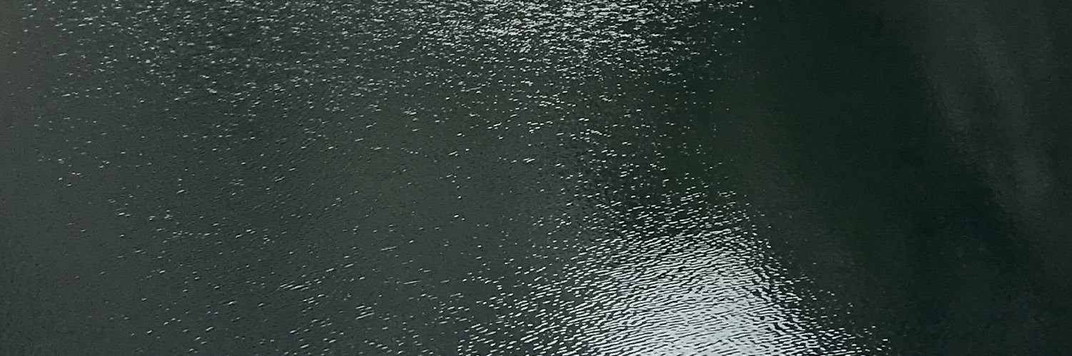 JasonNemo22's profile banner image