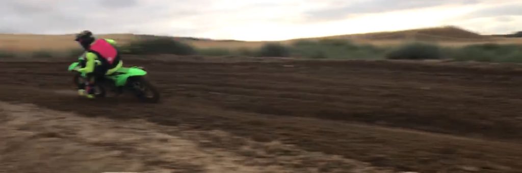 BEE_HOFF's profile banner image