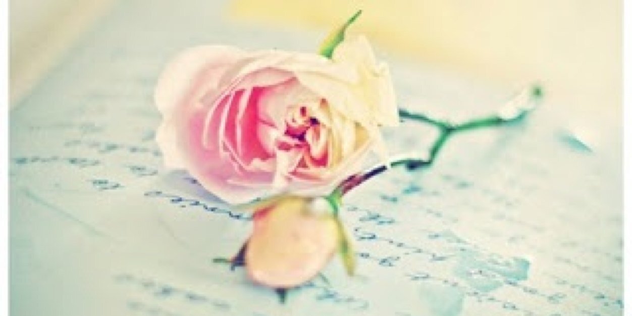 Marina_Smith3's profile banner image