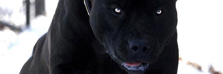 sleekzzy's profile banner image