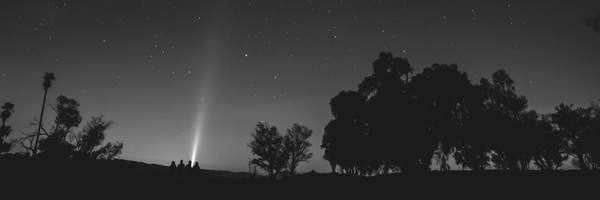 MoritzEttl Profile Banner