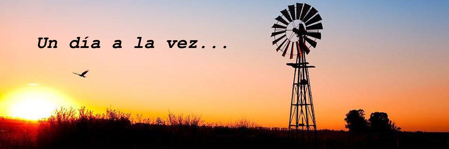 caiocamol's profile banner image