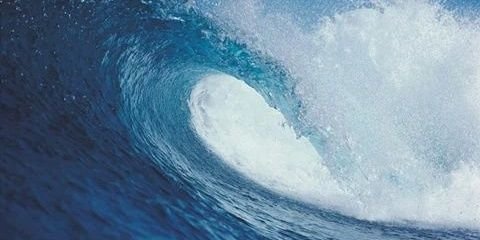 lilyfromvaley's profile banner image