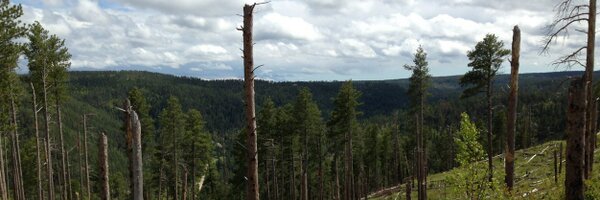 TNASH481 Profile Banner