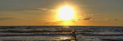 AshleyAlicea3's profile banner image