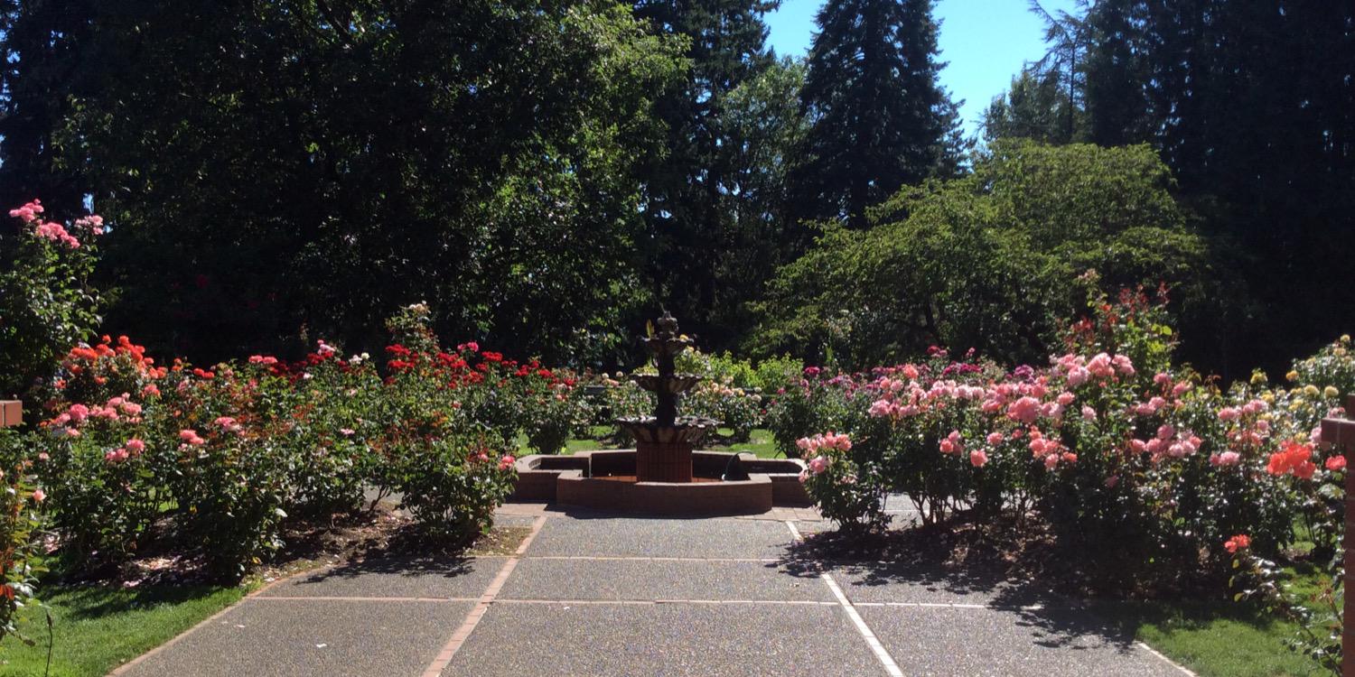 Monica Kwiatkowski banner