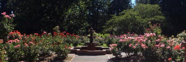 mkwiatkowski3 Profile Banner