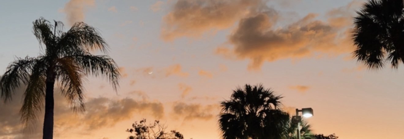 bitrizii's profile banner image