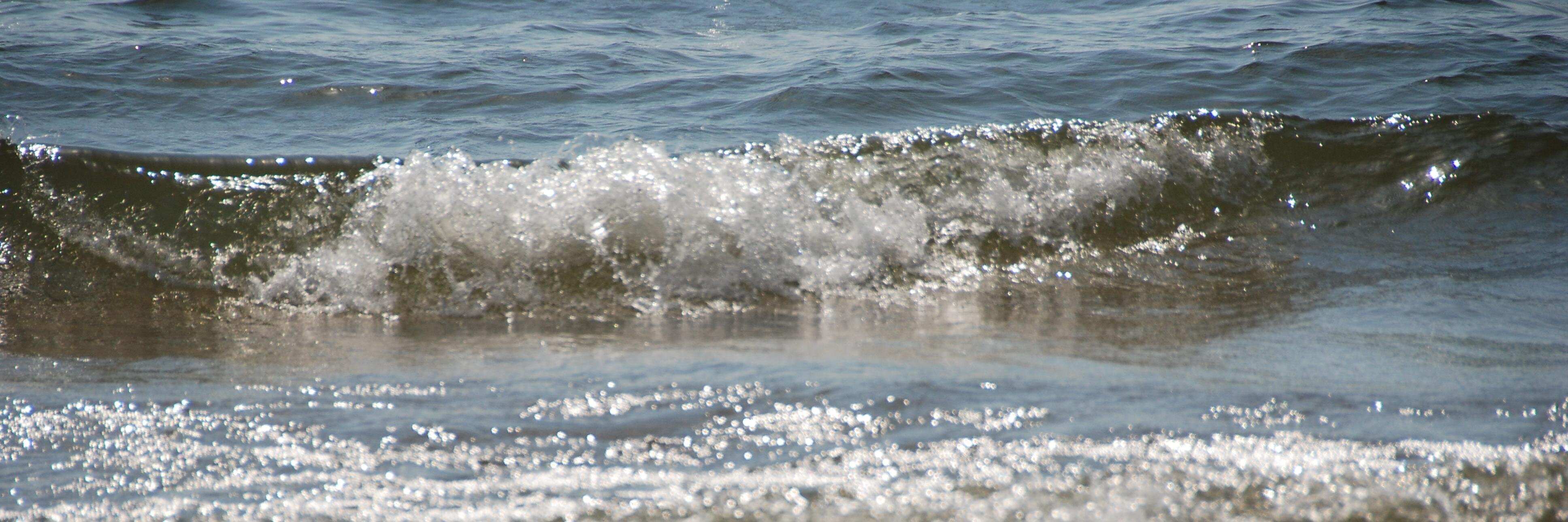 Wandering Educators banner