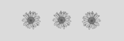 MileyBrooksLG's profile banner image