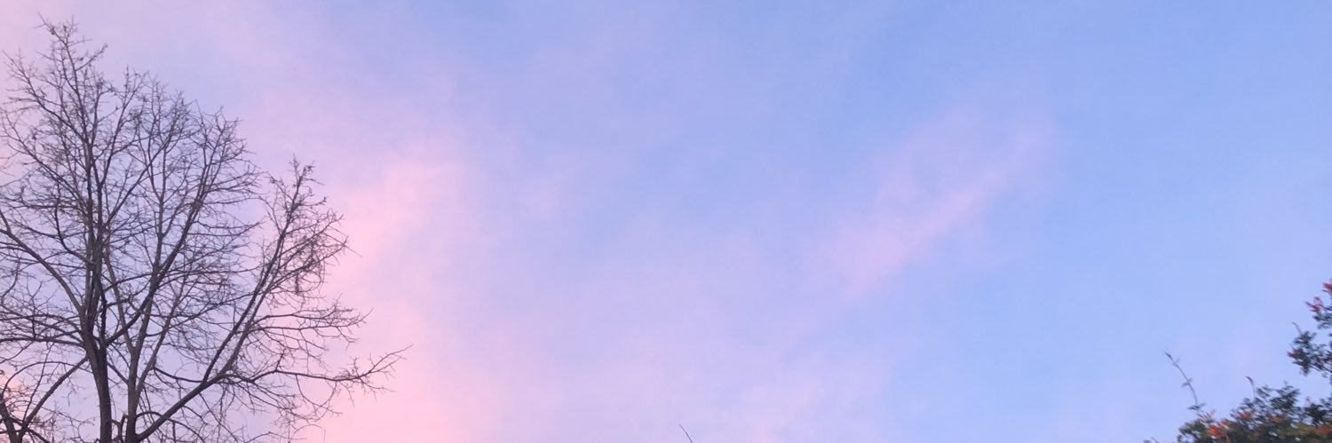 soficalvi's profile banner image