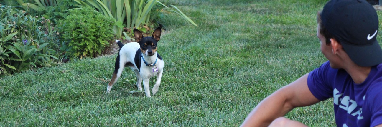 LTMeitler's profile banner image