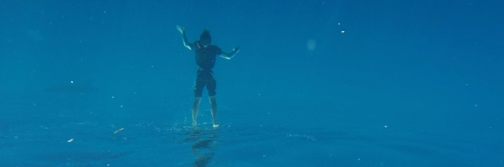 TimHbaxter's profile banner image