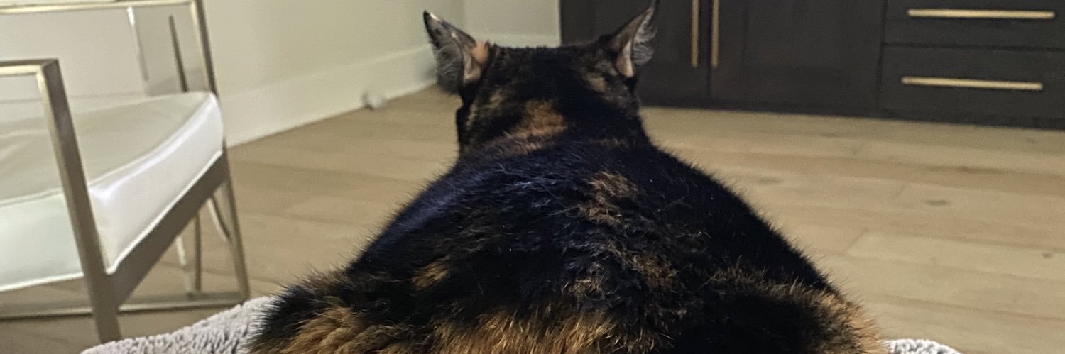 demilorynn's profile banner image