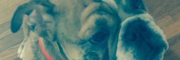 PhillLeo's profile banner image