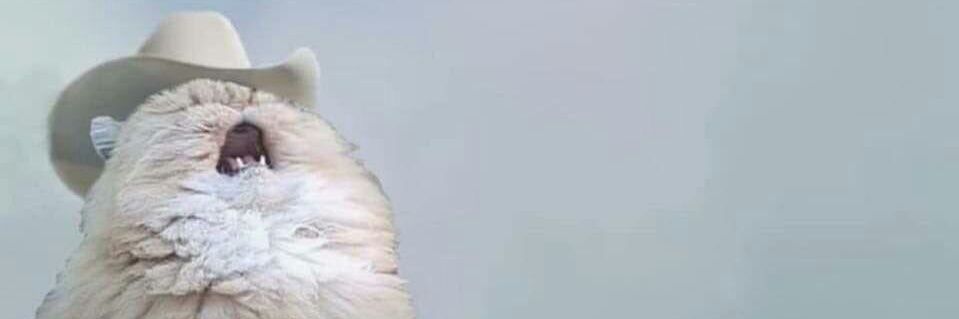 mechabowzilla's profile banner image