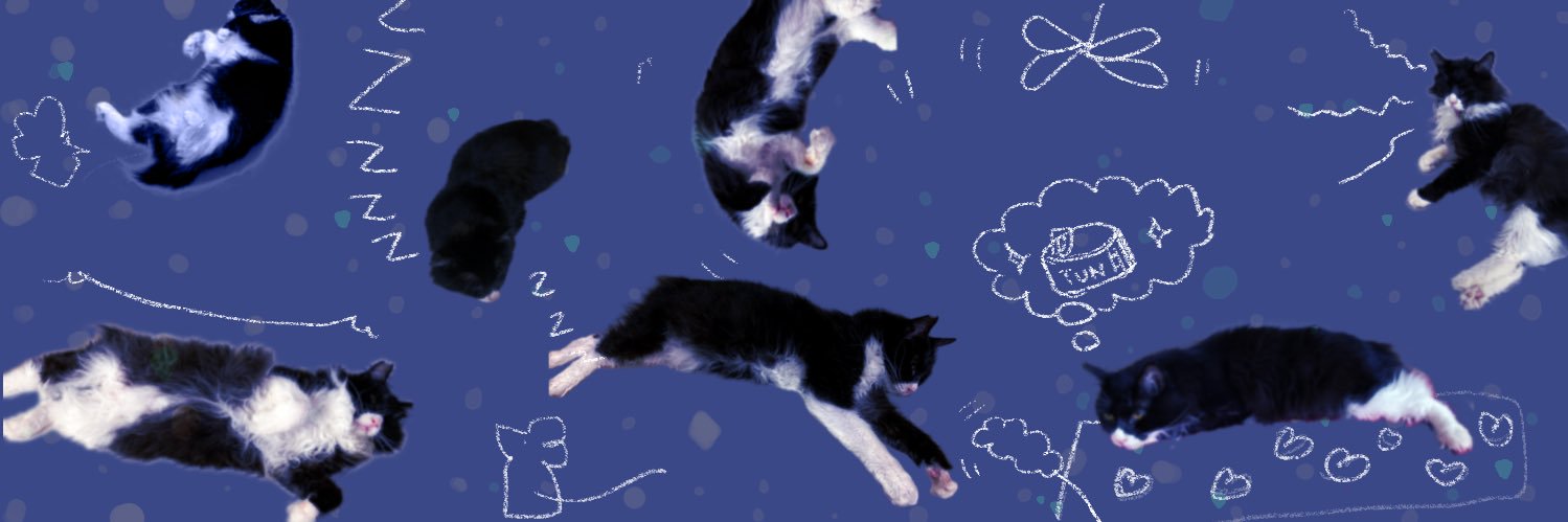 ゆかりーぬ⛸🐈🦋 banner