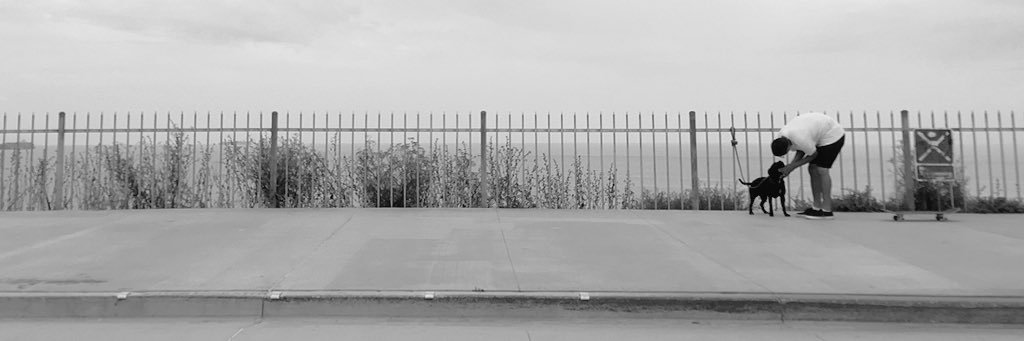 steezenADE's profile banner image