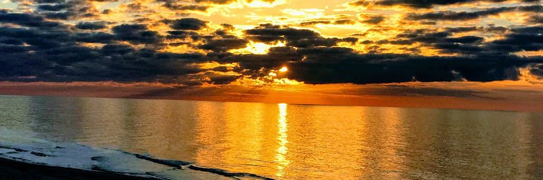 1FLRealEstate's profile banner image