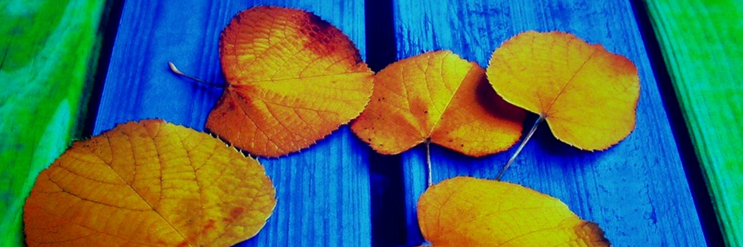 Pringals13's profile banner image
