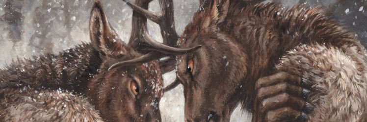 mydavi23's profile banner image
