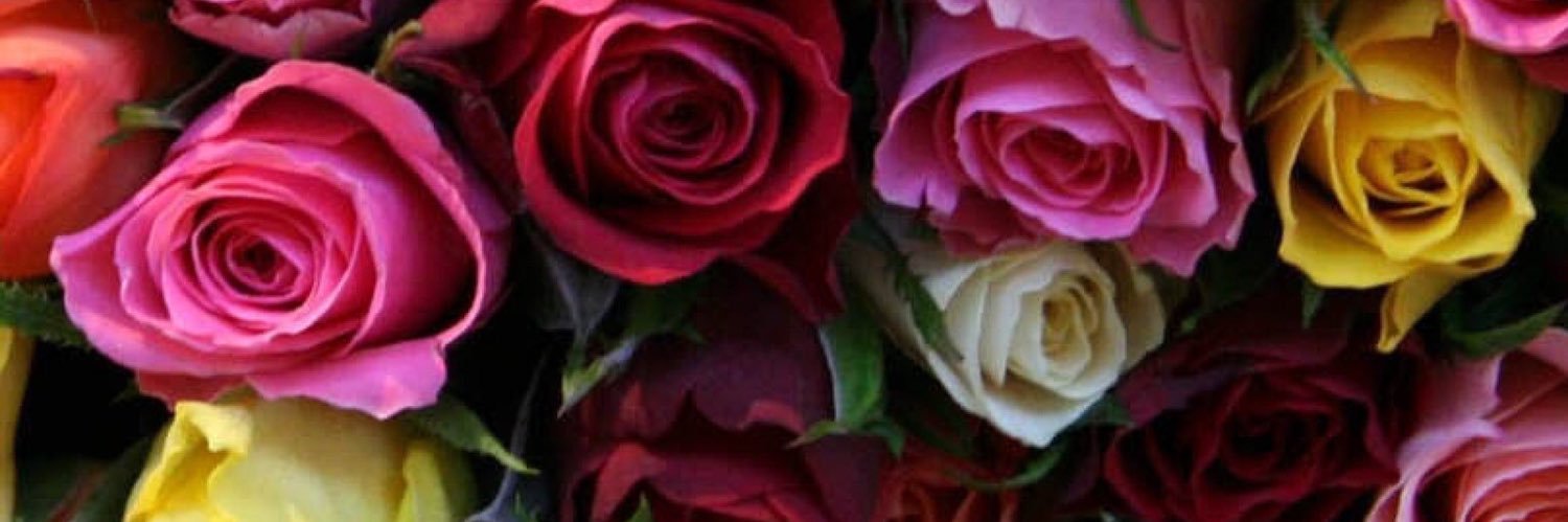 BrooklynSun76's profile banner image