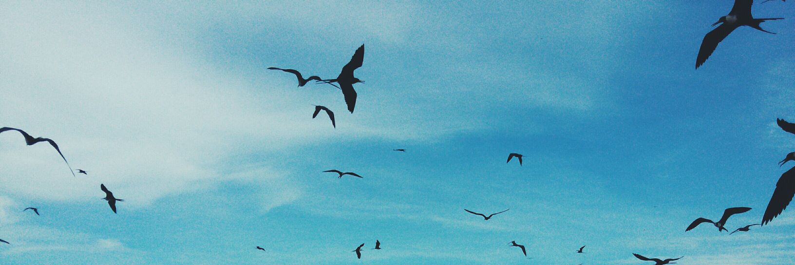 derianortega_'s profile banner image
