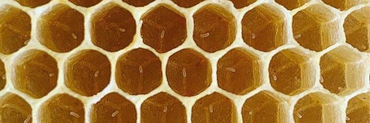 John Tyson 🏳️‍🌈🇪🇺💚 banner