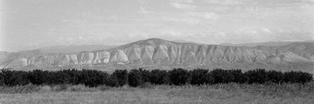 Gulag Gulagovich Gulagov banner